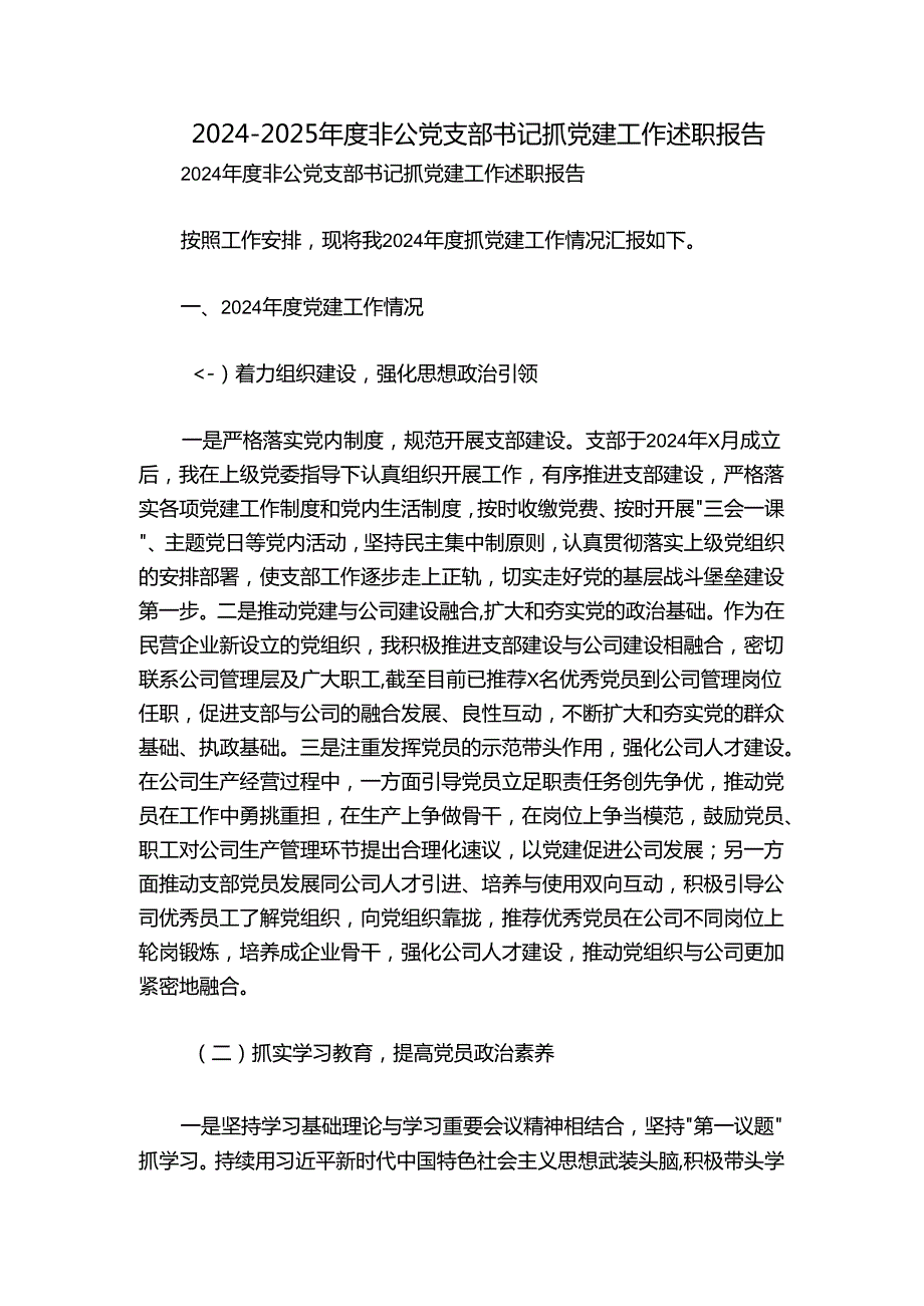 20242025非公党支部书记抓党建工作述职报告.docx_第1页