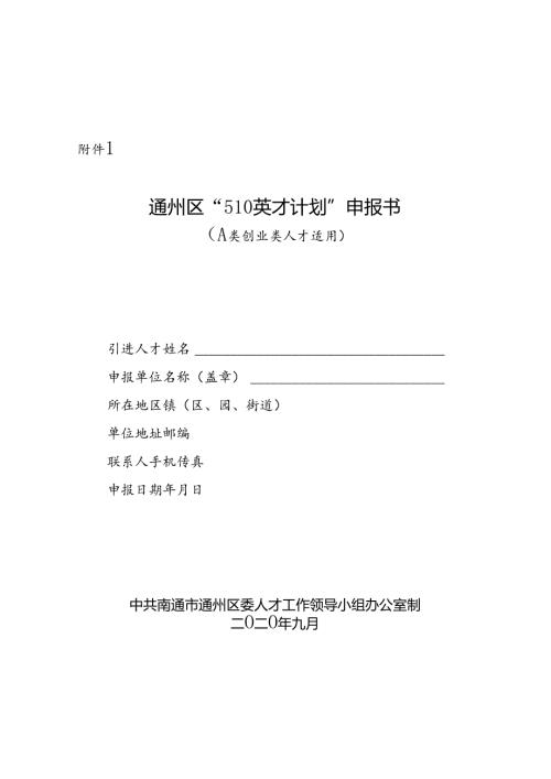 510英才引进计划申报书.docx