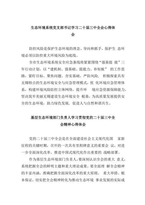 （9篇）生态环境系统党支部书记学习二十三中全会心得体会（精选）.docx
