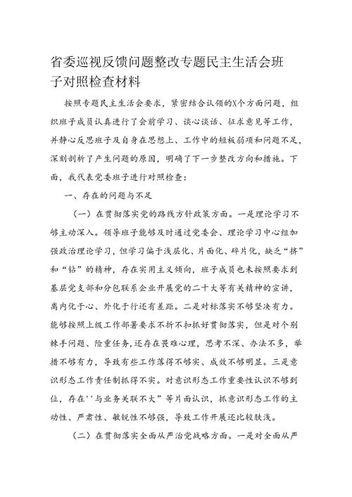 省委巡视反馈问题整改专题民主生活会班子对照检查材料.docx
