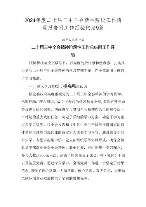 2024二十三中全会精神阶段工作情况报告附工作经验做法9篇.docx