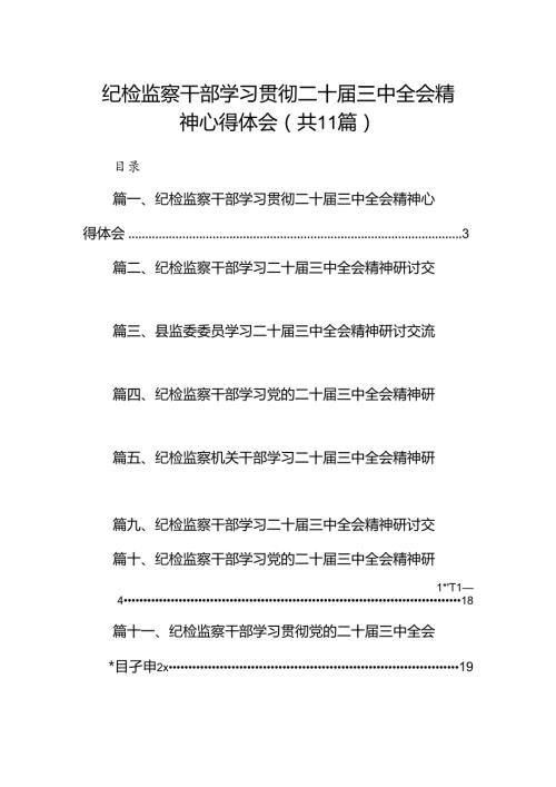 （11篇）纪检监察干部学习贯彻二十三中全会精神心得体会（精编版）.docx