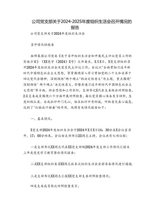公司党支部关于20242025组织生活会召开情况的报告.docx