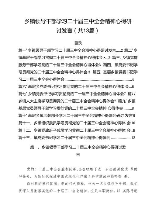 （13篇）乡镇领导干部学习二十三中全会精神心得研讨发言范文.docx