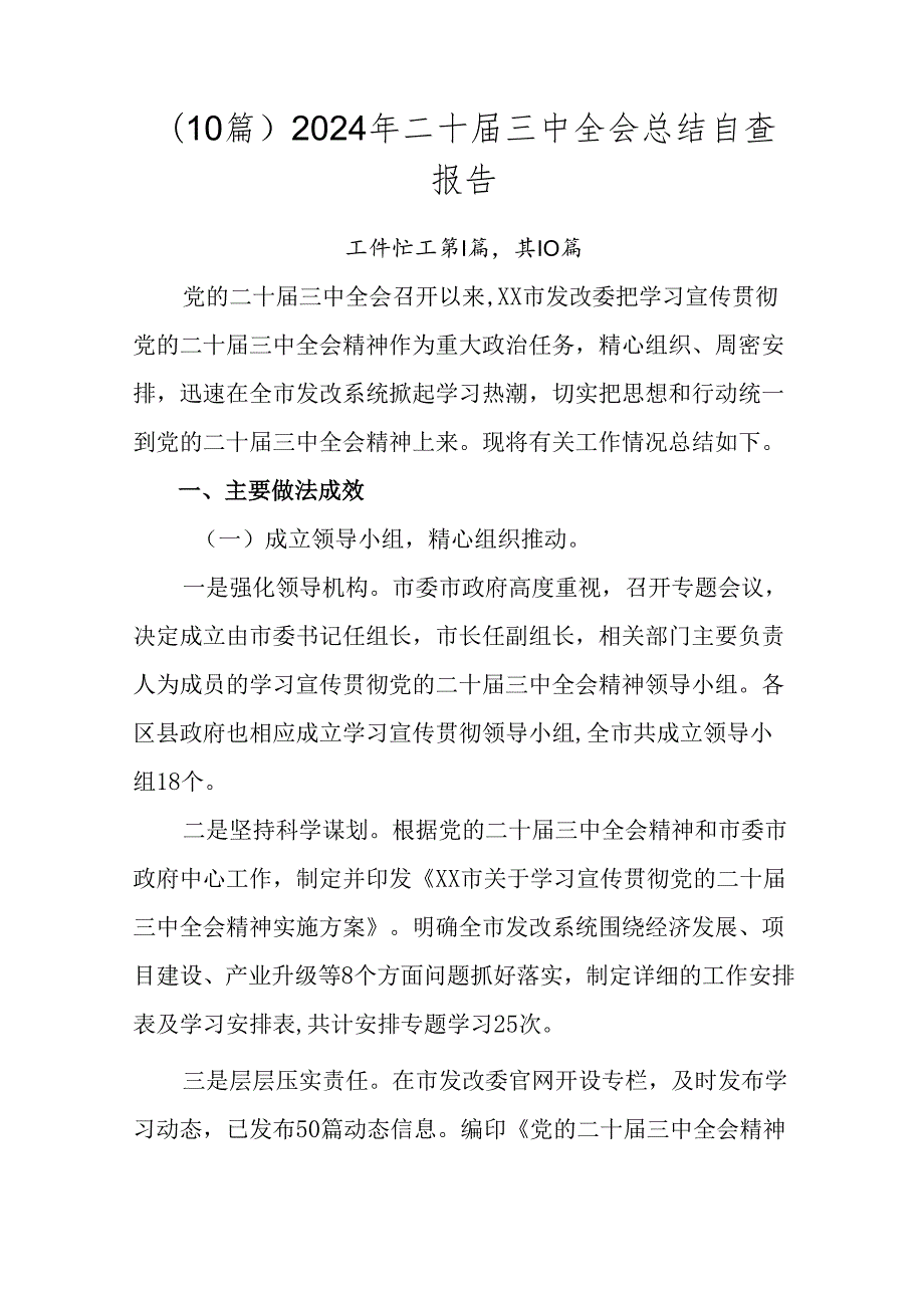 （10篇）2024年二十三中全会总结自查报告.docx_第1页