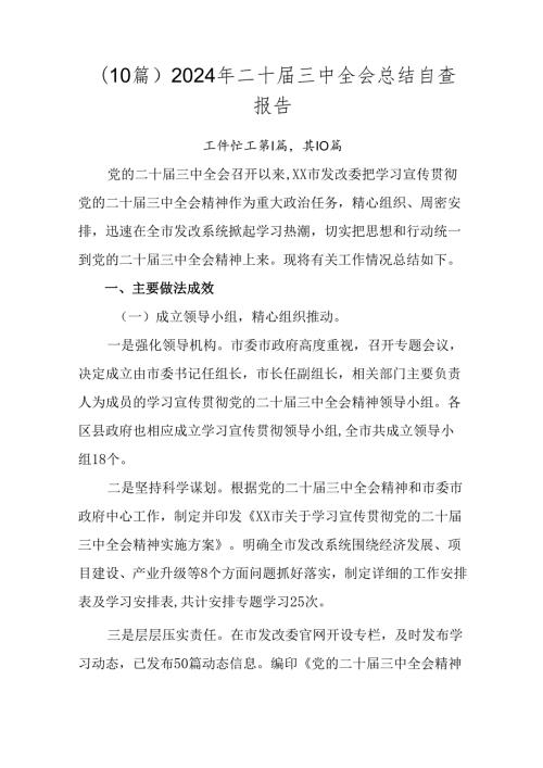 （10篇）2024年二十三中全会总结自查报告.docx