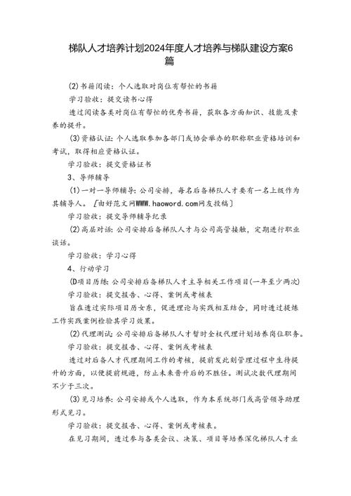 梯队人才培养计划2024人才培养与梯队建设方案6篇.docx