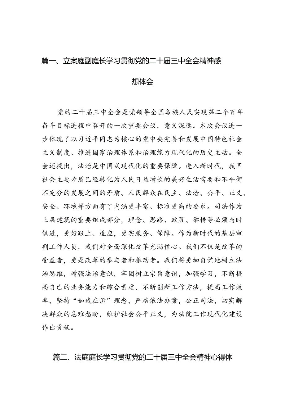 （10篇）立案庭副庭长学习贯彻党的二十三中全会精神感想体会（精选）.docx_第2页