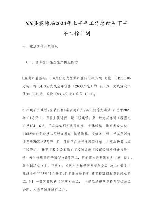 XX县能源局2024年上半年工作总结和下半年工作计划(1).docx