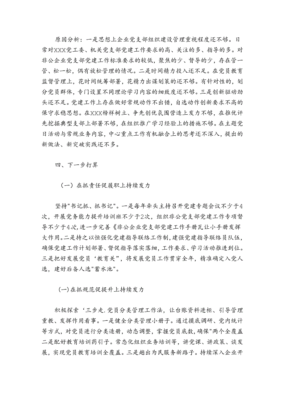 20242025党工委书记抓基层党建工作述职报告.docx_第3页
