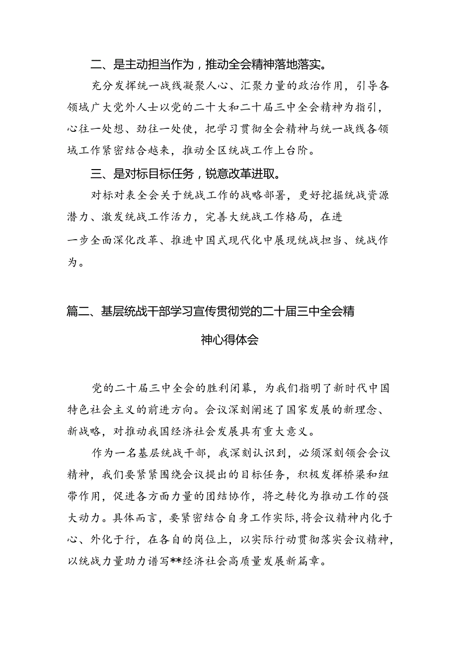 （10篇）统战工作者学习党的二十三中全会精神心得体会（最新版）.docx_第2页