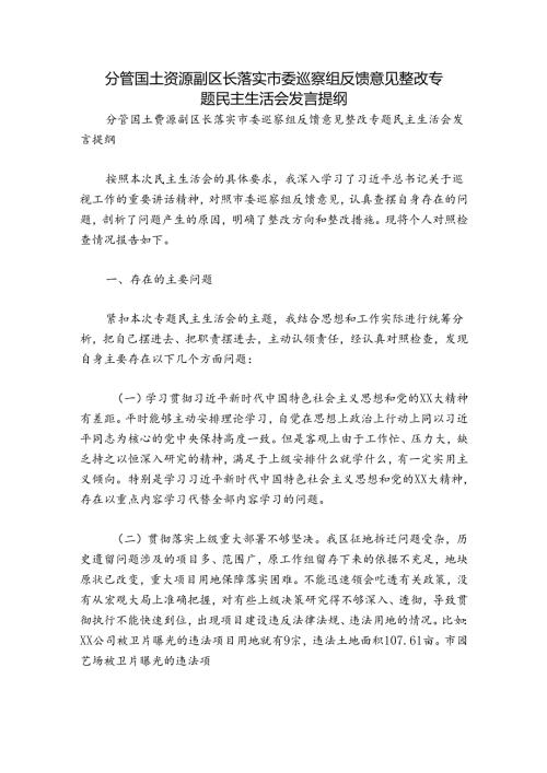 分管国土资源副区长落实市委巡察组反馈意见整改专题民主生活会发言提纲.docx