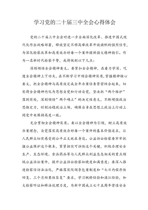 2024年学习学习党的二十三中全会个人心得感悟 （汇编14份）.docx