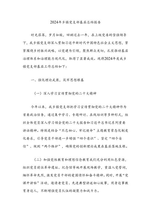 2024年乡镇党支部基层总结报告.docx