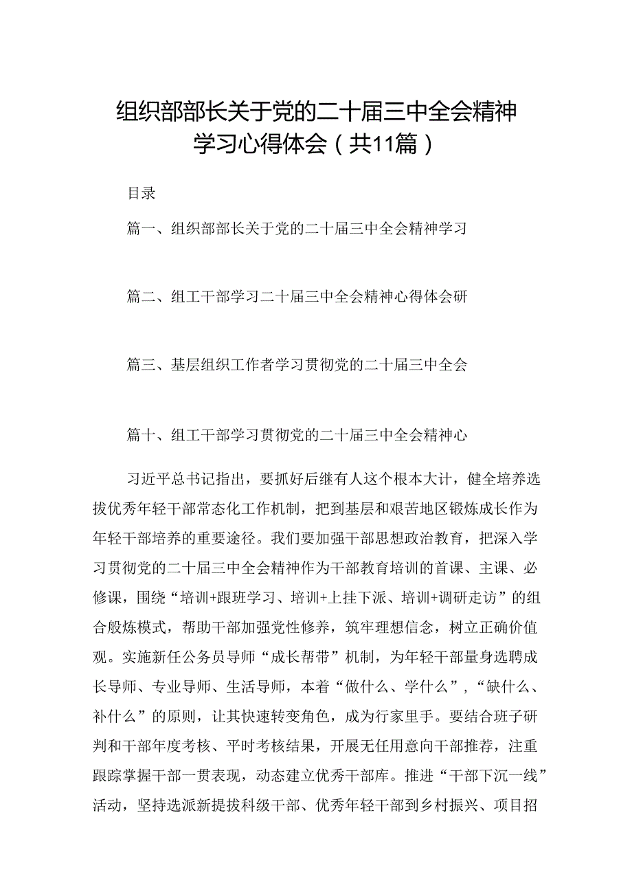 （11篇）组织部部长关于党的二十三中全会精神学习心得体会范文.docx_第1页