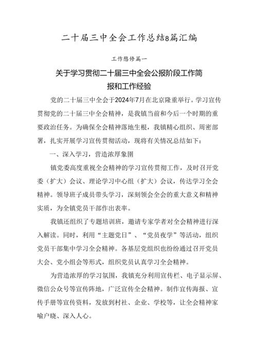 二十三中全会工作总结8篇汇编.docx