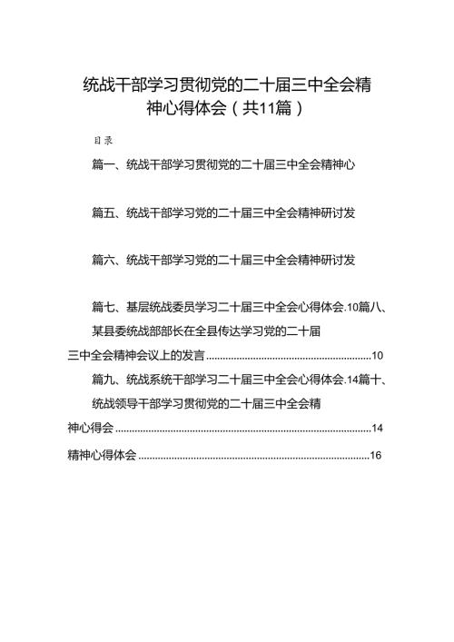 （11篇）统战干部学习贯彻党的二十三中全会精神心得体会（最新版）.docx