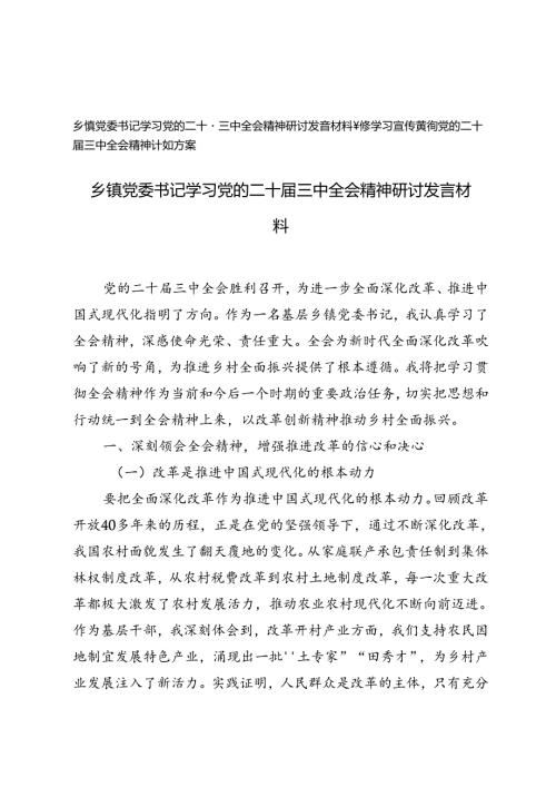 乡镇党委书记学习党的二十三中全会精神研讨发言材料+乡镇学习宣传贯彻党的二十三中全会精神计划方案.docx