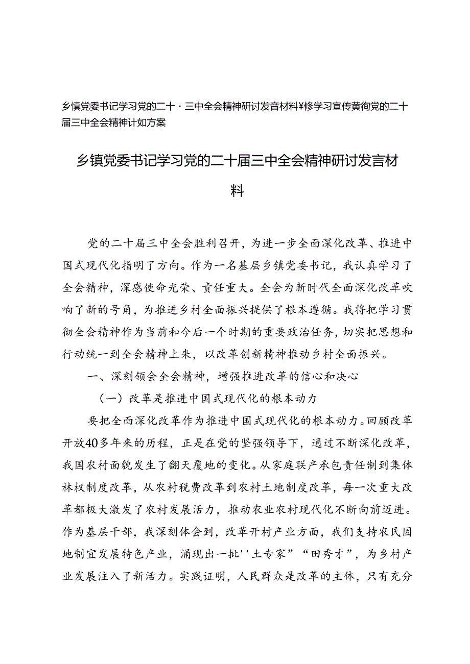 乡镇党委书记学习党的二十三中全会精神研讨发言材料+乡镇学习宣传贯彻党的二十三中全会精神计划方案.docx_第1页