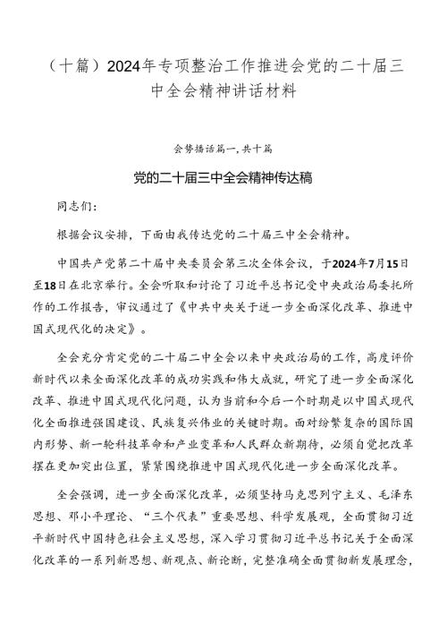（十篇）2024年专项整治工作推进会党的二十三中全会精神讲话材料.docx