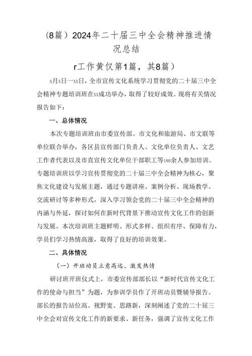 （8篇）2024年二十三中全会精神推进情况总结.docx