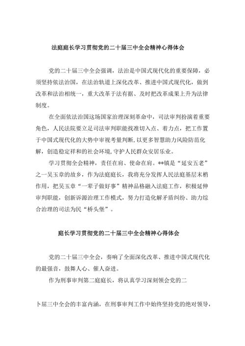 （11篇）法庭庭长学习贯彻党的二十三中全会精神心得体会集锦.docx