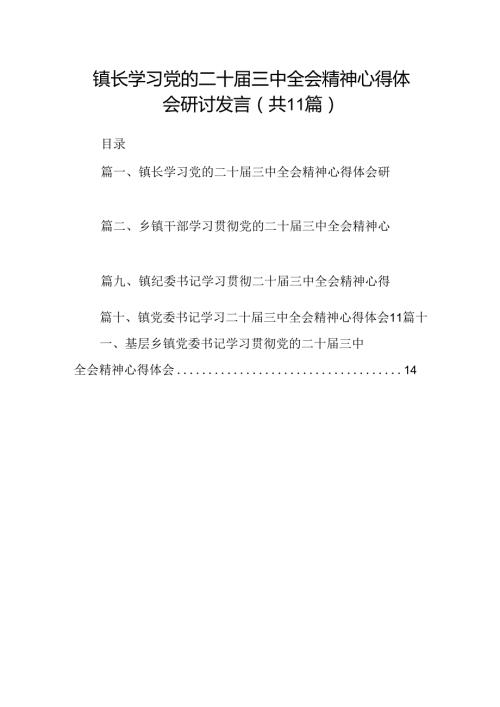 （11篇）镇长学习党的二十三中全会精神心得体会研讨发言（详细版）.docx