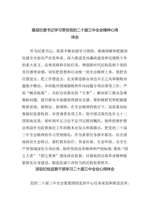 （9篇）基层纪委书记学习贯彻党的二十三中全会精神心得体会（详细版）.docx