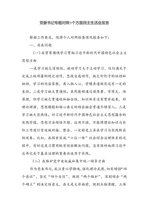 党委书记个人对照9个方面民主生活会检查情况报告发言材料（维护党中央权威和集中统一领导、践行宗旨服务人民、求真务实狠抓落实等九个方面）.docx