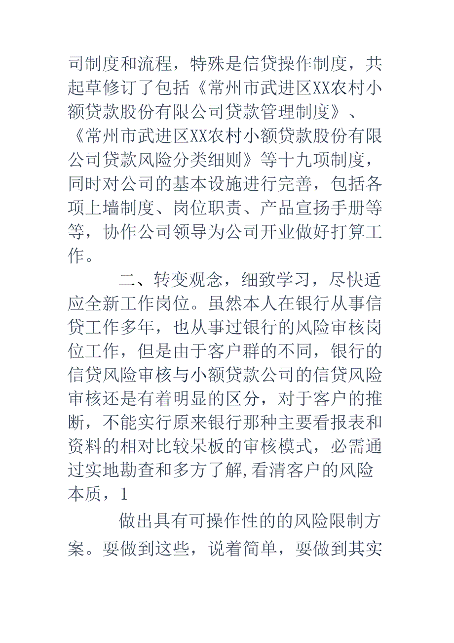 小贷个人工作总结.docx_第2页