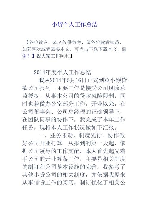 小贷个人工作总结.docx