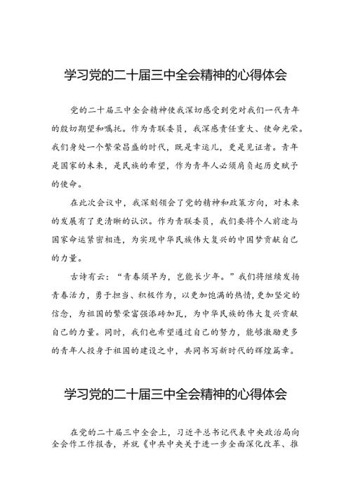 党员干部二十三中全会精神学习体会汇编四十篇.docx