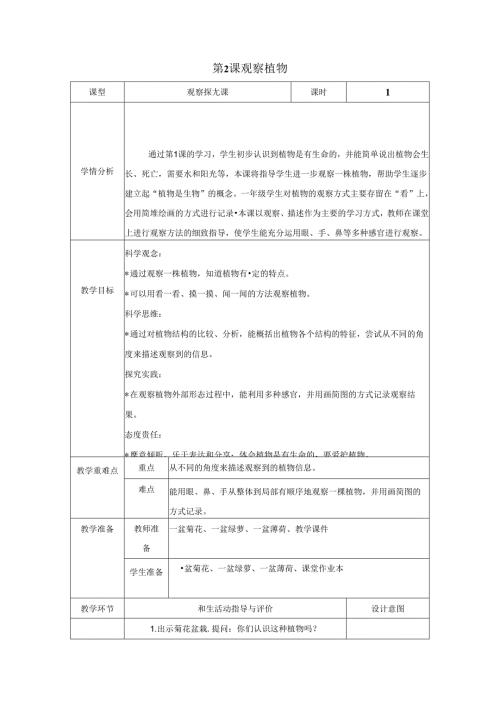 （2024）科教版科学一年级上册《观察植物》教案.docx