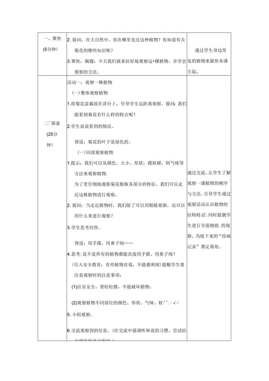 （2024）科教版科学一年级上册《观察植物》教案.docx_第2页