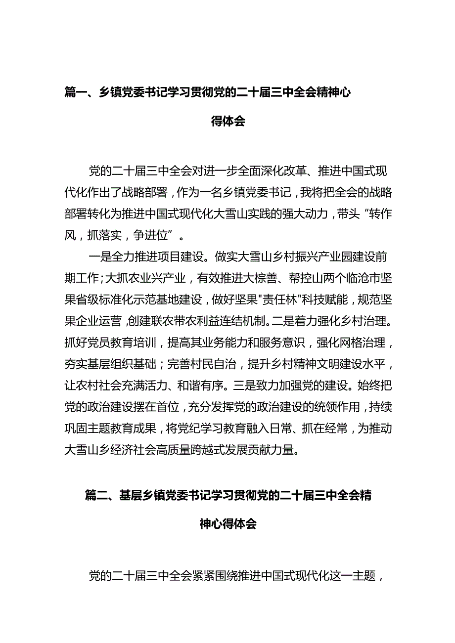 乡镇党委书记学习贯彻党的二十三中全会精神心得体会精选（共10篇）.docx_第2页