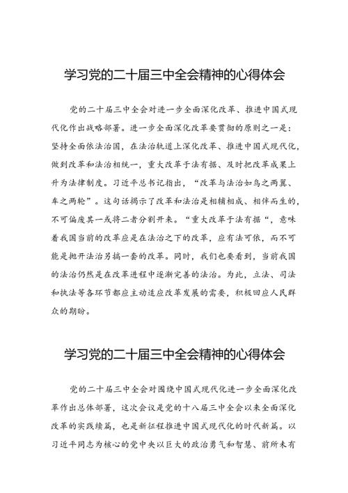 中国共产党第二十中央委员会第三次全体会议精神的学习心得体会三十六篇.docx
