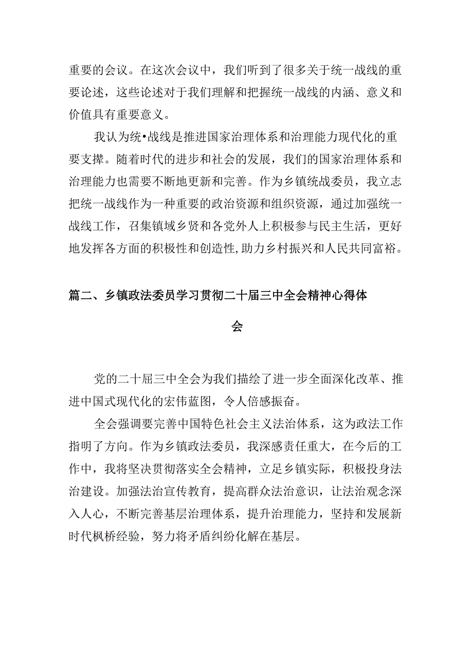 (八篇)乡镇统战委员学习党的二十三中全会精神心得体会研讨发言（详细版）.docx_第2页