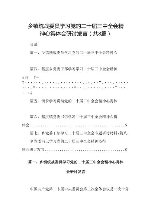 (八篇)乡镇统战委员学习党的二十三中全会精神心得体会研讨发言（详细版）.docx