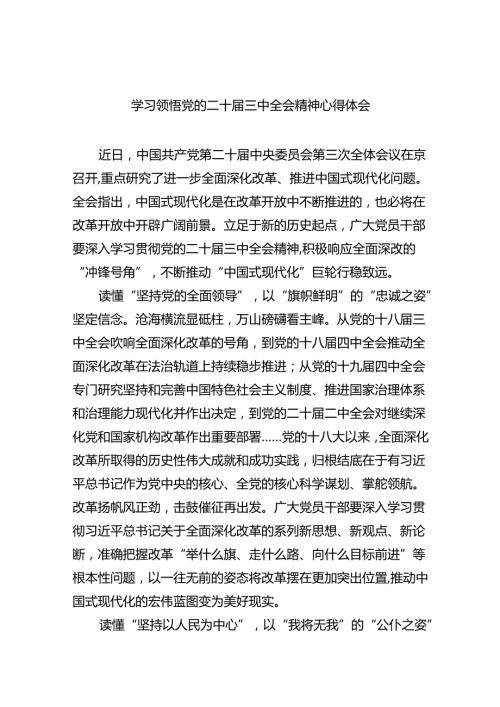 （9篇）学习领悟党的二十三中全会精神心得体会范文.docx