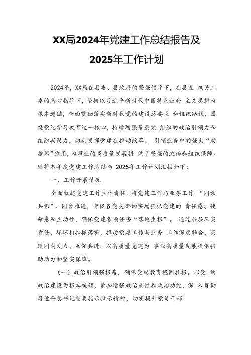 XX局2024年党建工作总结报告及2025年工作计划.docx