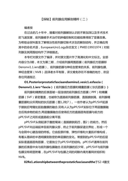 【探秘】前列腺应用解剖精粹（二）.docx