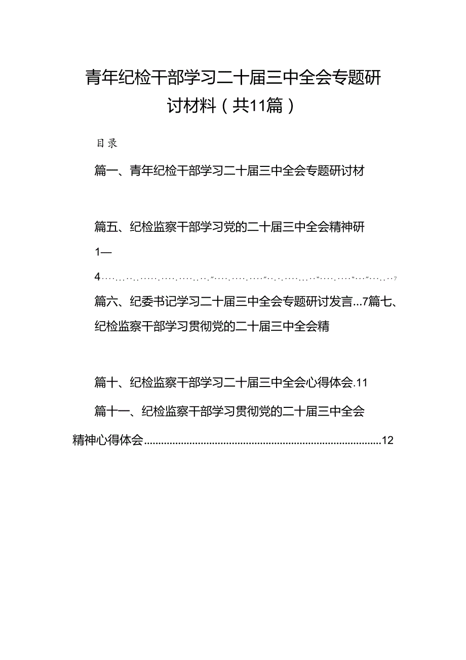 （11篇）青年纪检干部学习二十三中全会专题研讨材料范文.docx_第1页