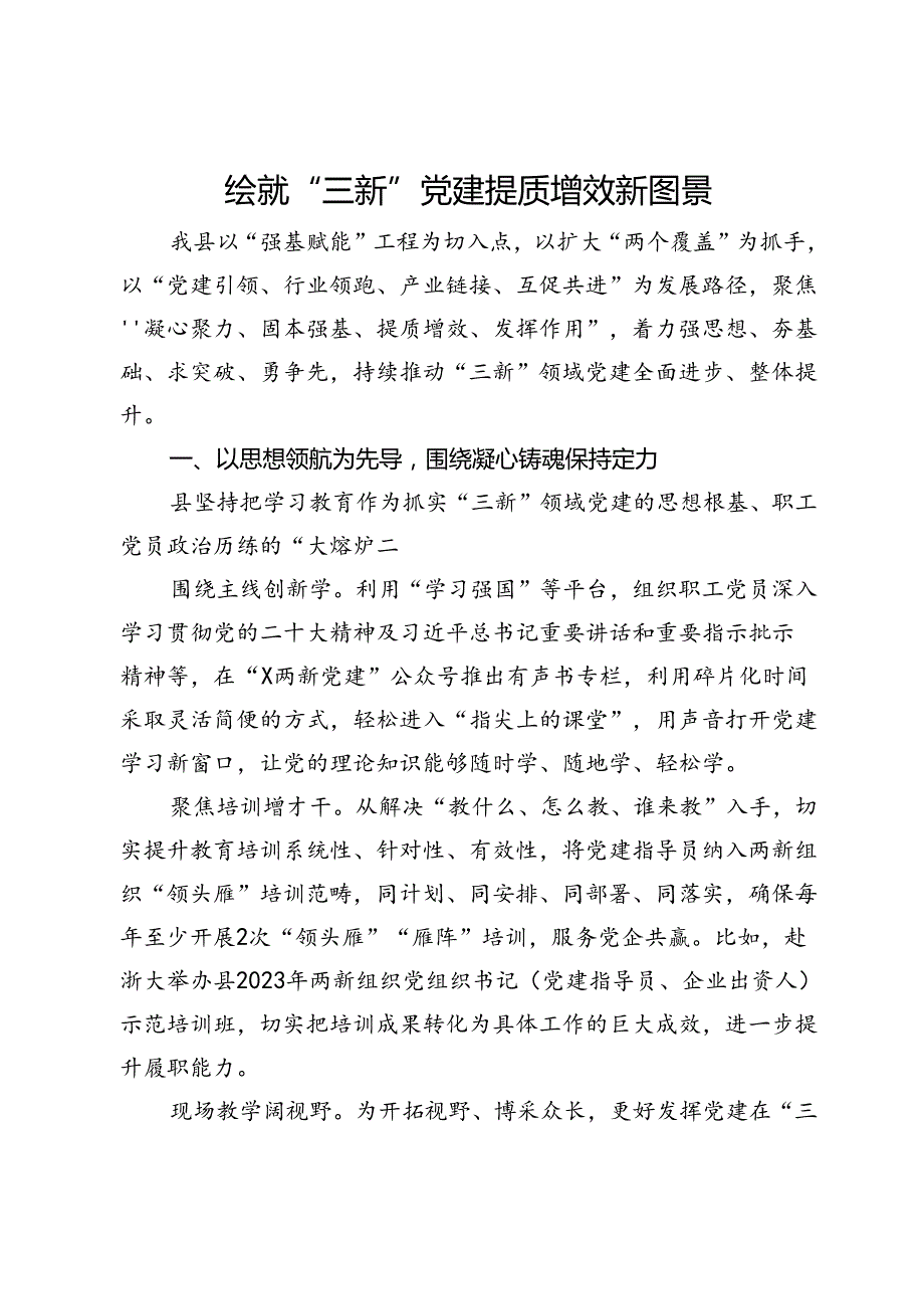 交流发言：绘就“三新”党建提质增效新图景.docx_第1页