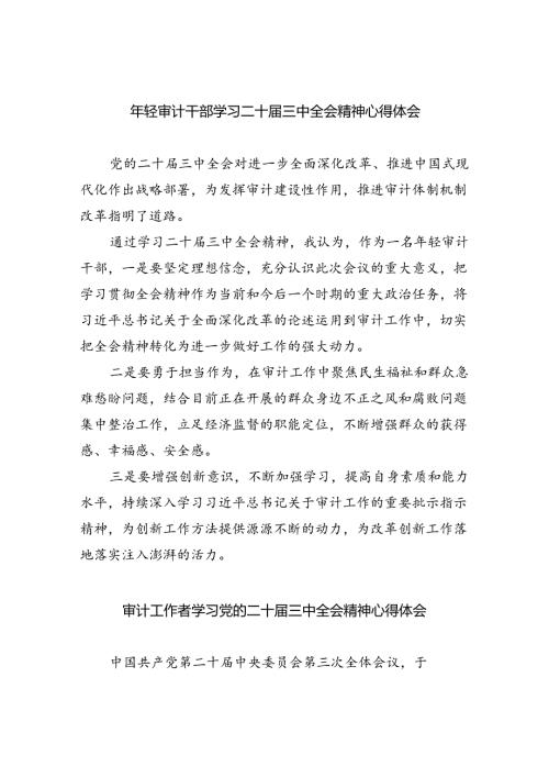 （9篇）年轻审计干部学习二十三中全会精神心得体会（详细版）.docx