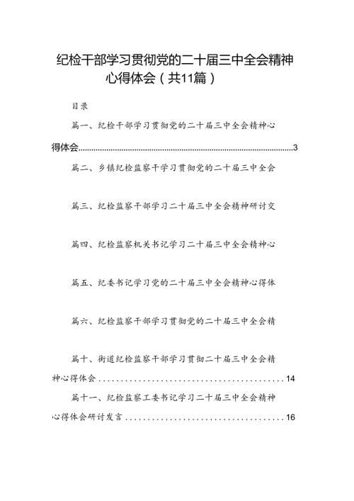 （11篇）纪检干部学习贯彻党的二十三中全会精神心得体会（详细版）.docx