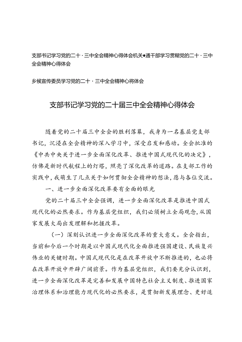 3篇 2024年乡镇宣传委员支总书记学习党的二十三中全会精神心得体会.docx_第1页