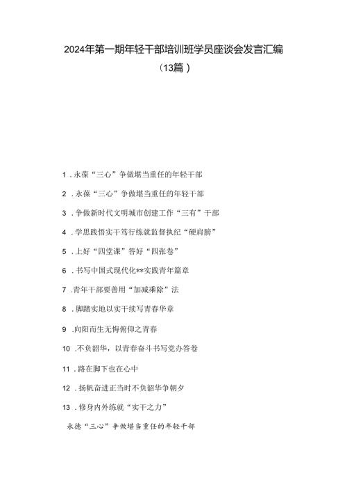 2024年第一期年轻干部培训班学员座谈会发言汇编（13篇）.docx