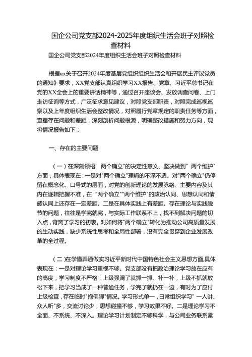 国企公司党支部20242025组织生活会班子对照检查材料.docx