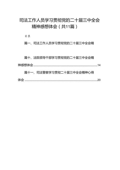 （11篇）司法工作人员学习贯彻党的二十三中全会精神感想体会（精选）.docx