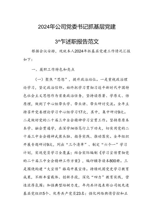 2024年公司党委书记抓基层党建工作述职报告范文.docx